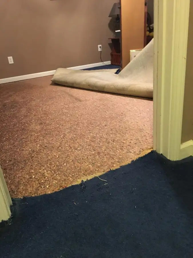Carpet pad removal revealing water damage during Drying & Dehumidification in Louisville