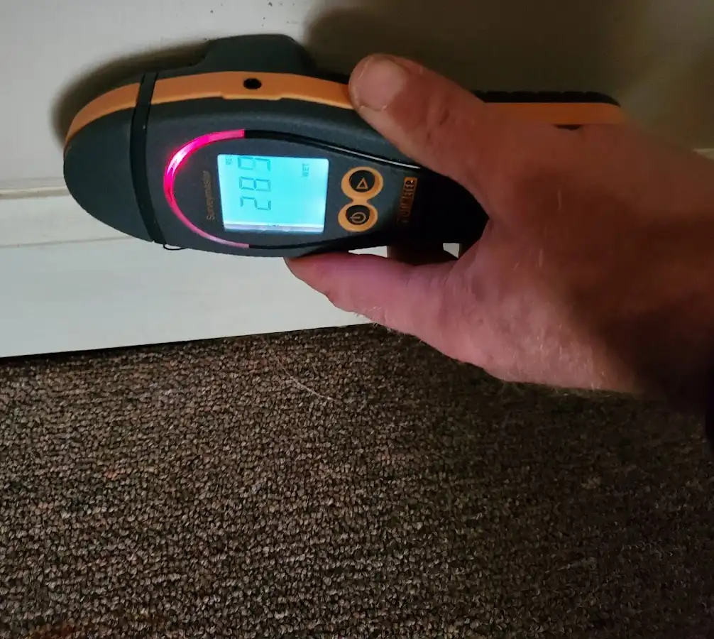 Moisture detection at baseboard during Sewage Cleanup & Sanitation in Louisville